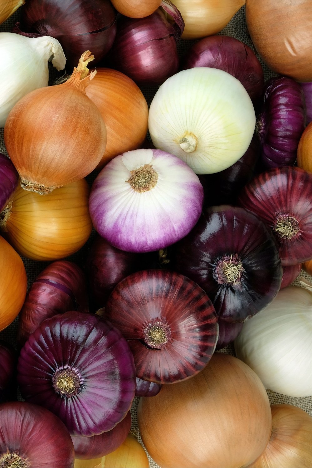 Many onion varieties
